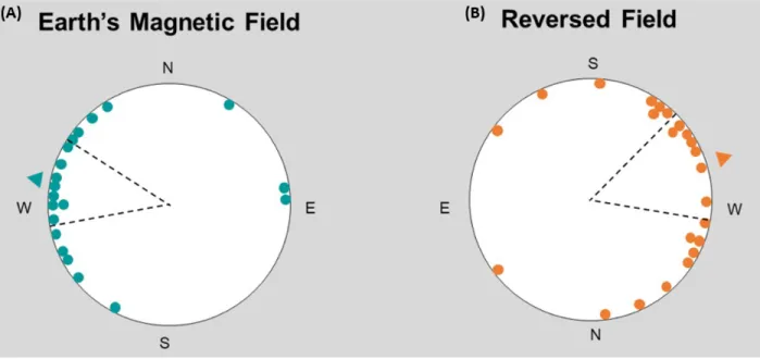 Figure 8.  Each dot represents the mean angle of movement for a single flounder and the dashed black lines display