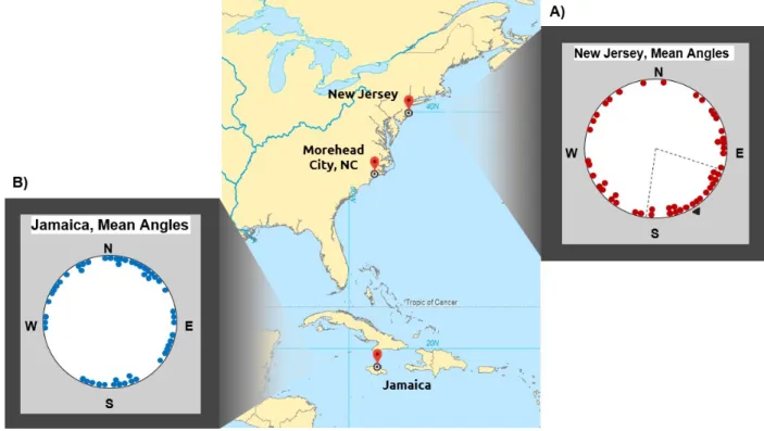 Figure 9.  Each dot represents the mean angle of movement for a single fish, and 95% confidence intervals are