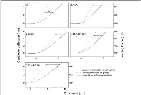 Fig. 4 Averaged measured point stiffness of recombinant CA assemblies (empty squares) and isolated HIV-1 cores (solid circles)