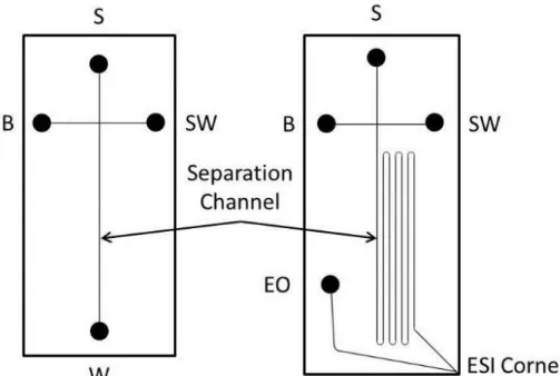Figure 2.1 Schematics for the microfluidic chip designs used for CE-LIF and CE-ESI, 