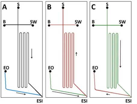 Figure 3.1 Microfluidic chip design and surface coatings used for CE-ESI. A) Separation  channel coated with PEG 24  (black) and native glass EO pump channel (blue) used for the  separation of tryptic peptides