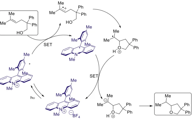 Figure 1.15: Initial results in the hydroetherification reaction 
