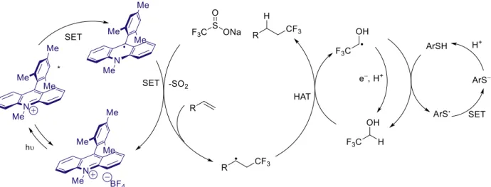 Figure 1.19: Amination of arenes 