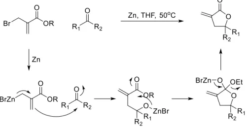 Figure 2.8: Butyrolactones from allylbornic esters and aldehydes 
