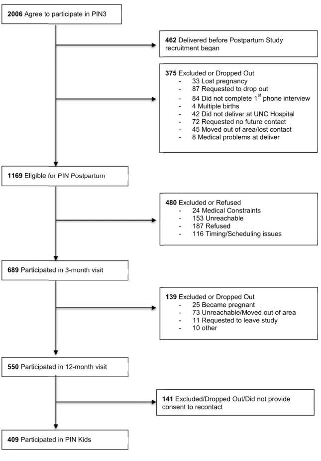 Figure 2. Flow chart of PIN studies that will be included in the proposed dissertation research 