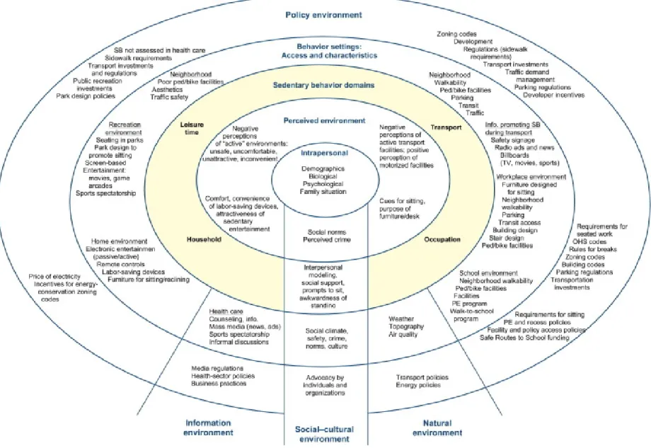 Figure 1.2. An example socio-ecologic framework: the ecological model of four domains of active living (Sallis et al