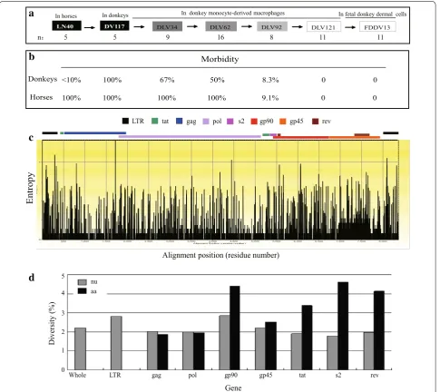 Fig. 1 Genome variants of EIAV strains during vaccine development. of EIAVa The flowchart of EIAV vaccine development