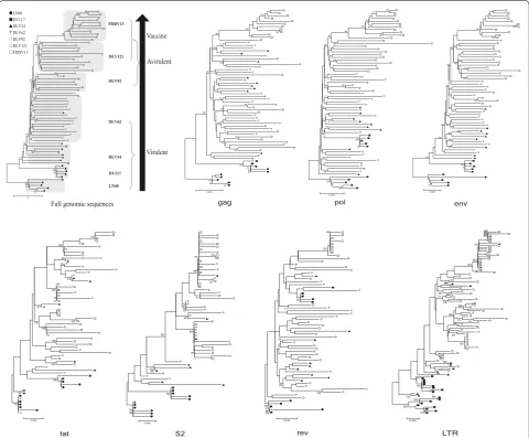 Fig. 2 Phylogenetic tree analysis of EIAV proviral genomes and individual genes (gag, pol, env, tat, s2, rev and LTR)