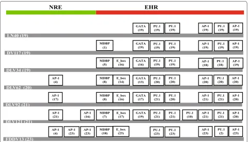 Fig. 3 Alteration of the transcription factor binding motifs in the LTR U3 region. Sequences of 134 clones of the LTR from seven EIAV strains were randomly isolated from PCR‑amplified fragments and analyzed