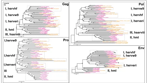 Fig. 5 Unrooted phylograms of Gag, Pro, Pol and Env from the consensus sequences in Additional file 4: List S4, with fewer reference sequences than in Fig