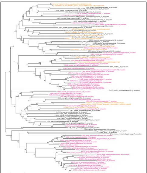Fig. 6 Retroviral envelopes encountered in hg19. Env subgroup consensuses (see Additional file 4: List S4) and reference envelope proteins were aligned by Muscle