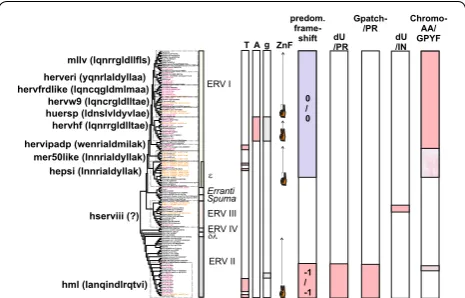 Fig. 3 Mapping of taxonomic markers on an unrooted consensus and domains together with the protease and occurrence of dUTPase and Chromo and/or GPY/F domains in the C terminus of the integrase, are shown