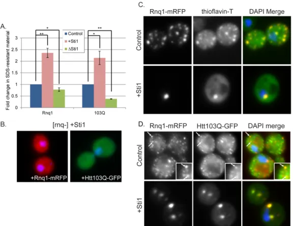 Figure 2.5 Sti1 modulates assembly of amyloidogenic substrates  