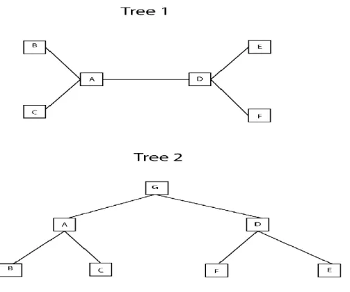 Figure 1 – Rooted and Unrooted Trees 
