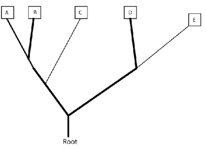 Figure 4 - Reconstruction of character 2 on proposed tree 