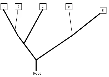 Figure 5 - Reconstruction of character 3 on proposed tree. 