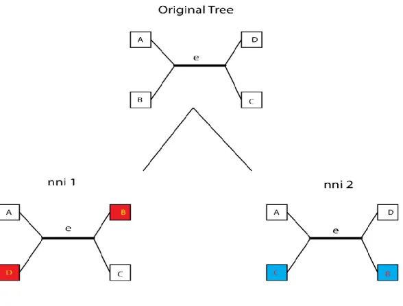 Figure 7 – NNI diagram 
