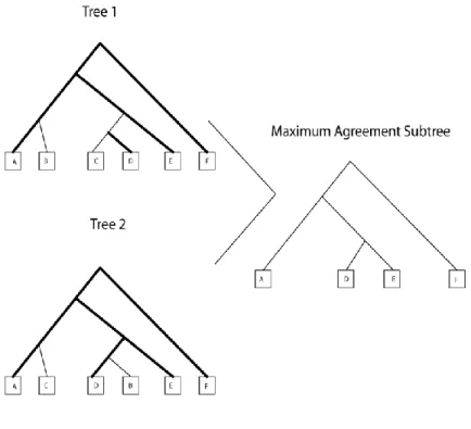 Figure 9 – MAST Diagram 