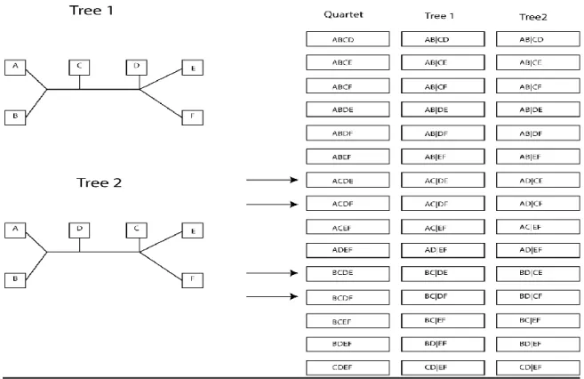 Figure 10 – Quartet Diagram 
