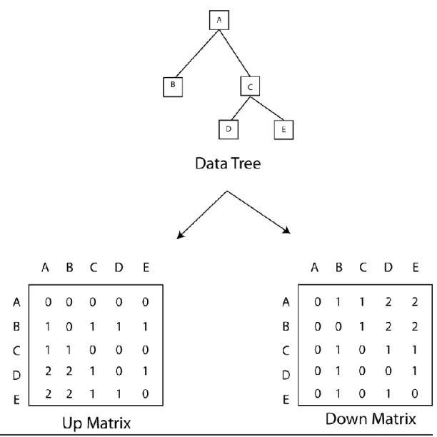 Figure 11 – Updown Diagram 