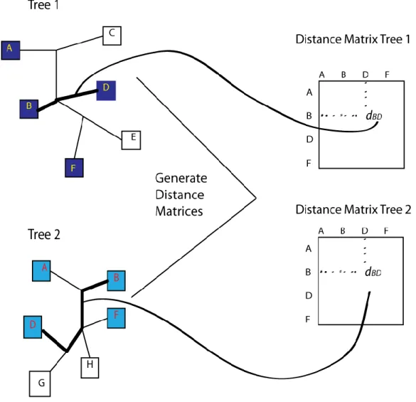 Figure 12 - Generating Distance Matrices 