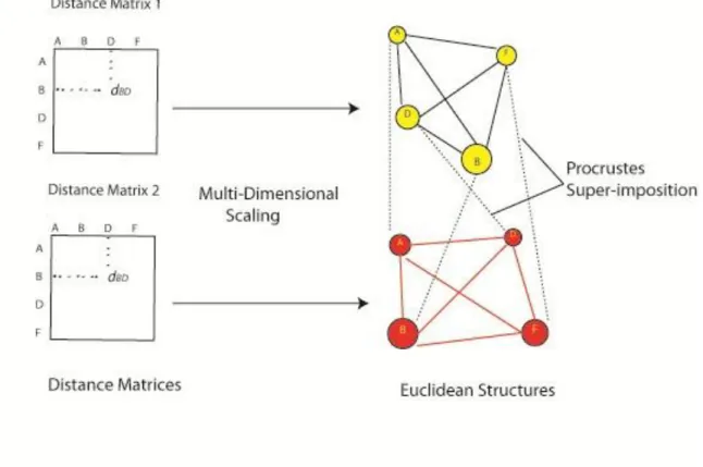 Figure 13 - Procrustes with Euclidean Structures 