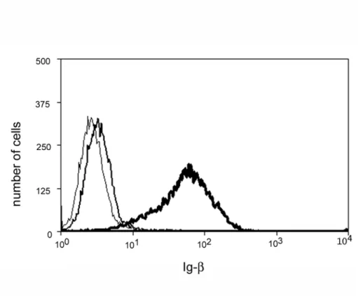 Figure 2.3. M12g3r cells fail to express surface Ig- α/ Ig- β  in the absence of transfected  μ m