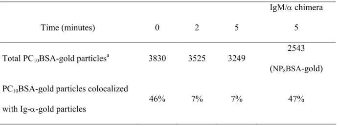 Table 1.  Assessment of subcellular localization of  μ m and Ig- α  on native membrane  sheets in M12g3r cells