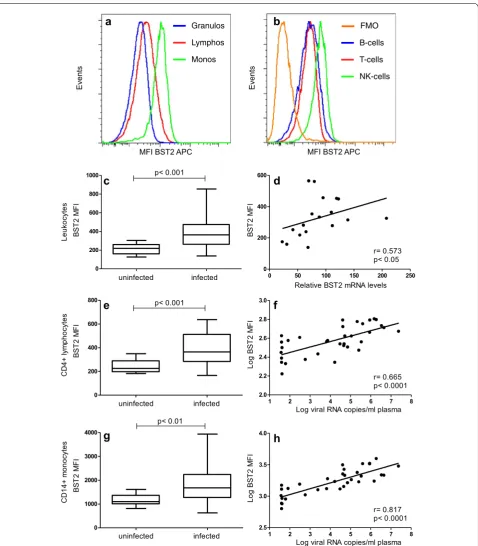Fig. 2 BST2 mRNA and protein expression in uninfected and SIVmac251-infected macaques