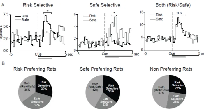 Figure 2.4 NAc neurons display cue-selective encoding for safe versus risk cue  presentations