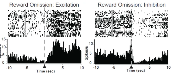 Figure 2.6 Reward omission  processing in the nucleus accumbens. PEH and raster plot  from representative reward omission activated NAc neurons