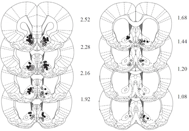 Figure 2.8 Histological verification of recording array wires in the NAc core and shell