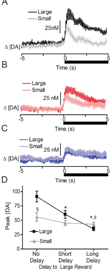 Figure 3.3 Dopamine release  encodes the relative value of cue  presentations during delay  discounting