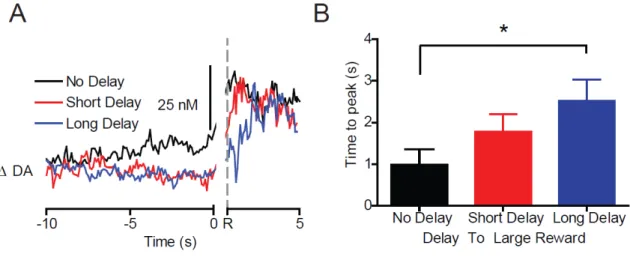 Figure 3.6 Dopamine release to delayed reward delivery. (A) Dopamine release time locked  to large reward delivery (R) during the three blocks of trials