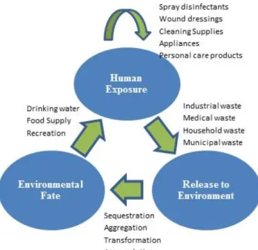 Figure  1.  Potential  consumer  and  environmental  exposures  to  humans  of  engineered  nanoparticles