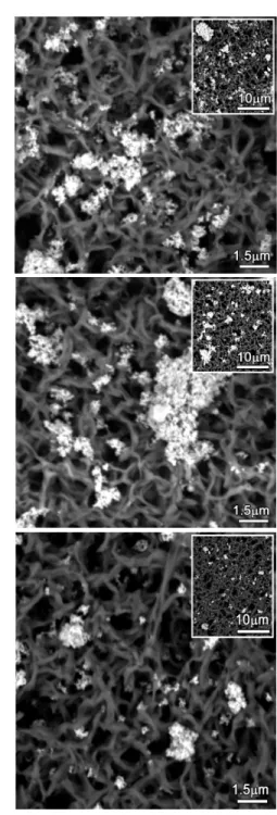 Figure 3. Representative SEM images of TiO 2  nanoparticles dispersed in A) KB medium, B)  DM medium, and C) KF medium at 200 µg/ml