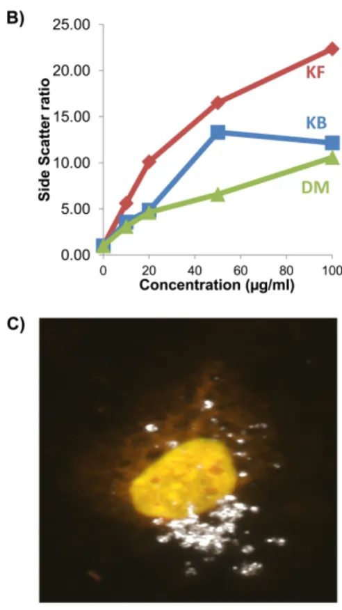 Figure 5. Comparison of cellular interaction of TiO 2  nanoparticles in three different  dispersion media (KF, KB, and DM) as revealed by flow cytometer side scatter