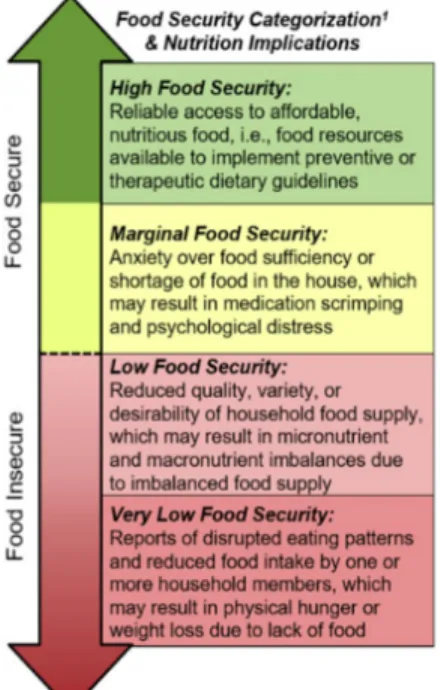 Figure 2. Household Food Security Definitions and Possible Nutrition Implications 