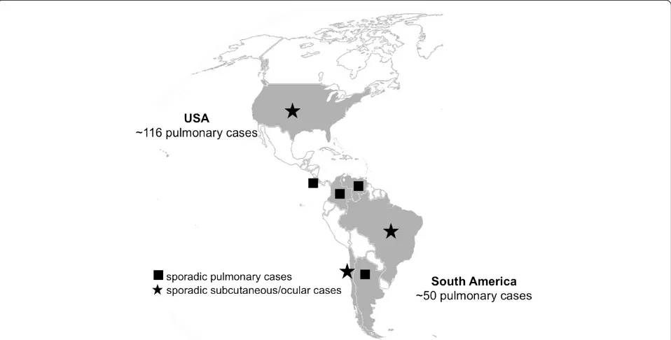 Figure 1 Human dirofilariosis in the Americas. Geographical distribution of human cases of dirofilariosis in the Americas (adapted from Ref