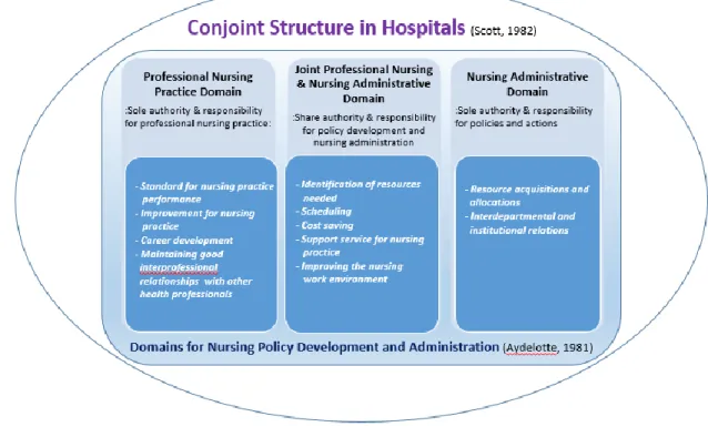 Figure 2.2 The theoretical framework of the combination of Scott’s structure model of hospital              work for professionals and Aydelotte’s professional nursing departments model  1