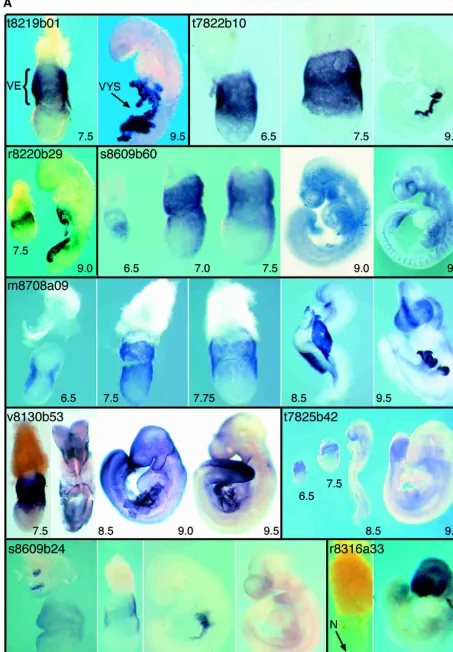 Figure 1(Continued on next page)