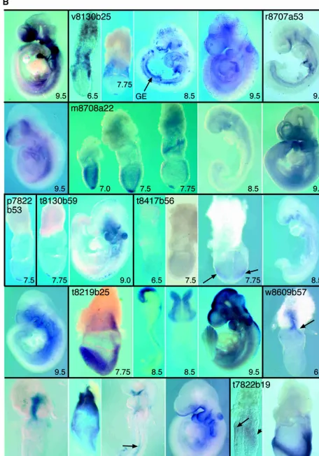 Figure 1(Continued on next page)
