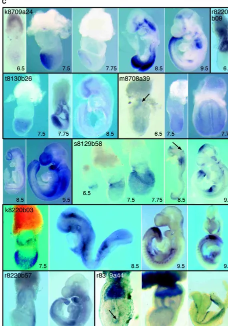 Figure 1(Continued on next page)