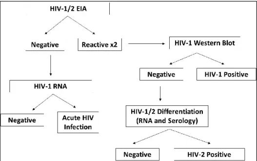 Figure 3.1: North Carolina State Lab of Public Health HIV Testing Algorithm 