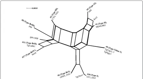 Figure 4 Mouse survival rates with T. gondii genotype China 1. Virulence of T. gondii type China 1 isolate TgCtgy5 was monitored in mice.Survival of KM mice was monitored for 45 d following intraperitoneal inoculation with different doses of tachyzoites in