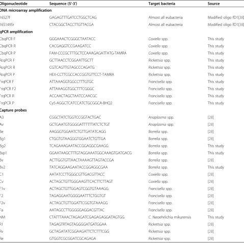 Table 1 Nucleotide sequences of PCR primers and probes