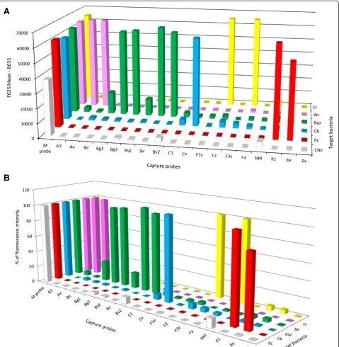 Figure 1 Specificity of capture probes and target bacteria detected by the DNA microarray