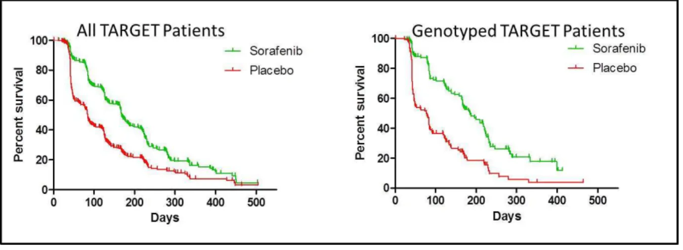 Figure 2.5. Kaplan-Meier analysis of PFS in the entire TARGET population versus the  genotyped TARGET patients