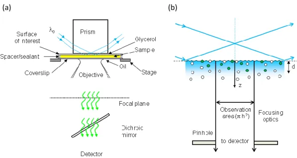 Figure 1.1: Through-Prism TIR-FCS.     (a)  A  laser  beam  is  totally  internally  reflected at  a  sample  plane  through  a  prism  that  is  mounted  on  the  stage  of  an  inverted  microscope
