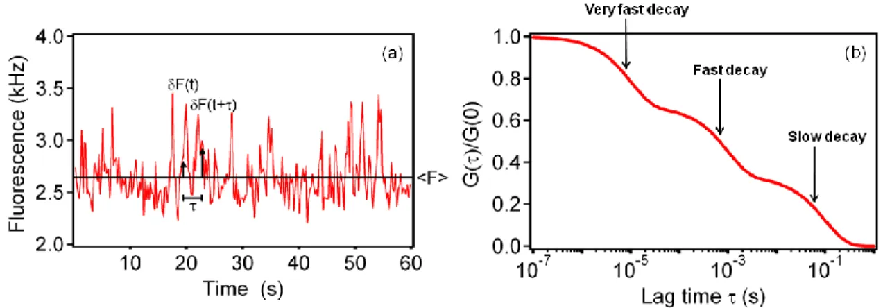Figure  1.2:    Fluorescence  Fluctuation  Autocorrelation  Functions.    (a)  The  fluorescence  measured from  the  observation  volume  fluctuates  with  time  as individual  fluorescent  molecules  diffuse  through  the  evanescent  field,  associate  